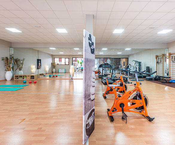 Servicio de Spa & Wellness